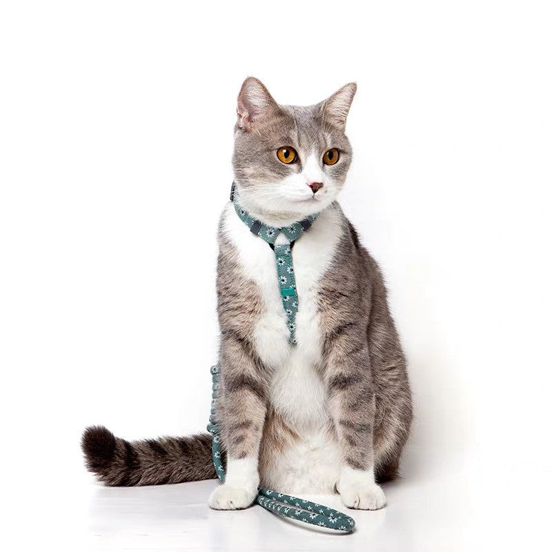 Kitty's harnest and leash set