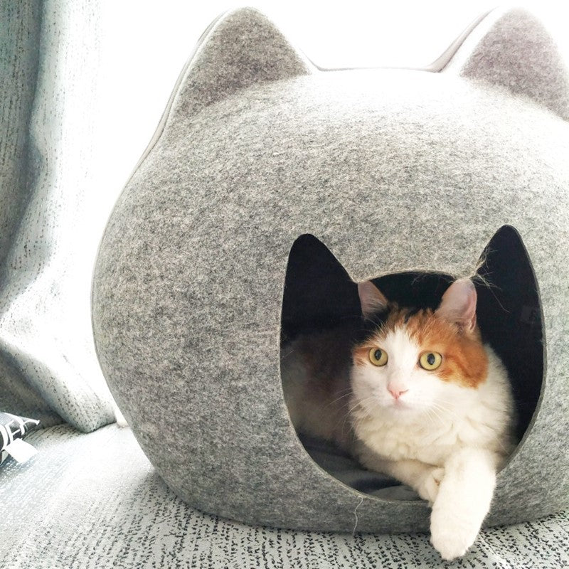 Kitty's Enclosed Cat House