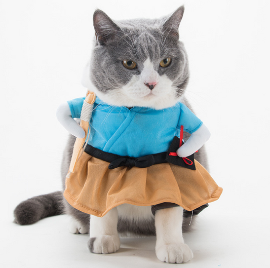 Kitty's dress up costume party clothing