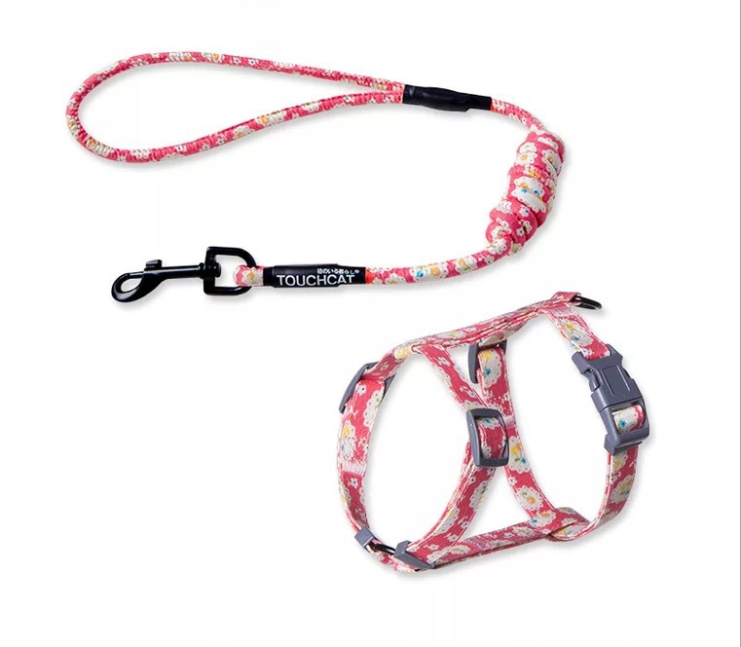 Kitty's harnest and leash set