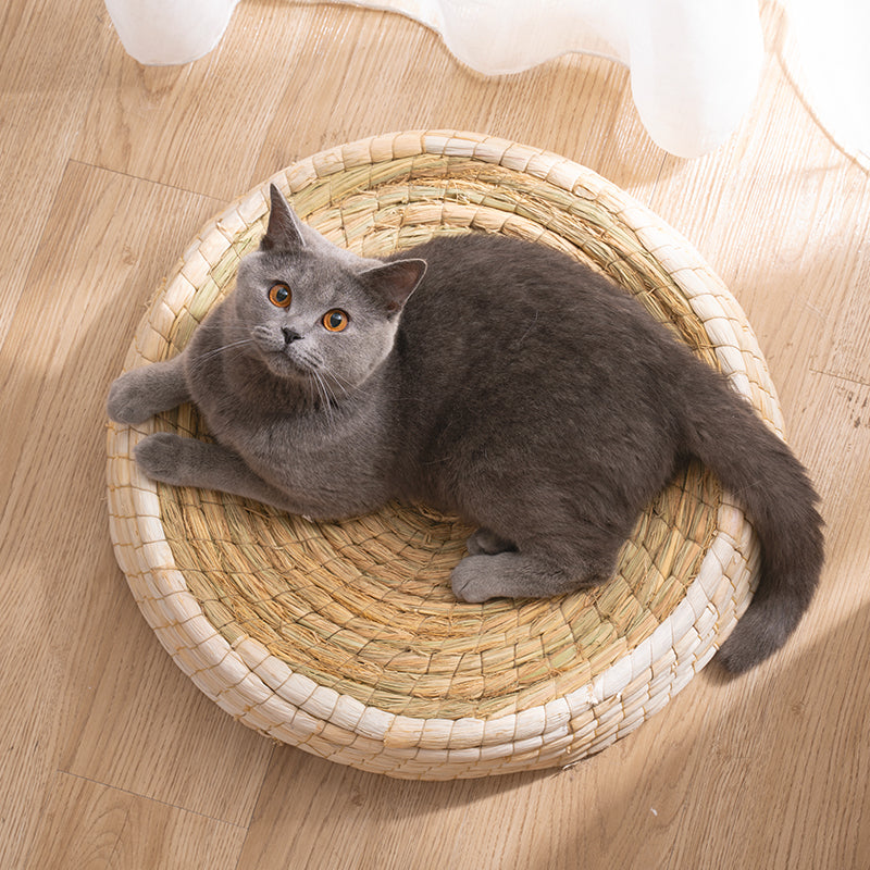 Teng Wok felt house kitty bed