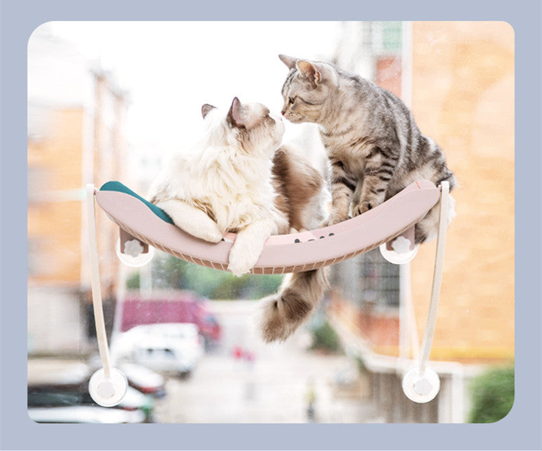 Kitty's Hammock Bask In The Sun