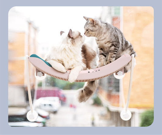 Kitty's Hammock Bask In The Sun