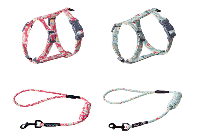 Kitty's harnest and leash set