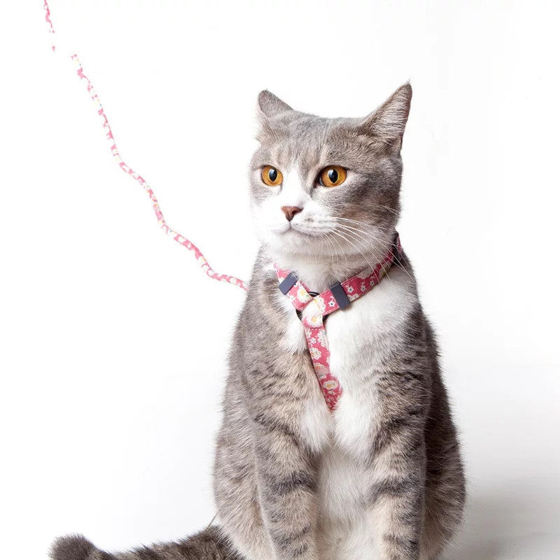 Kitty's harnest and leash set