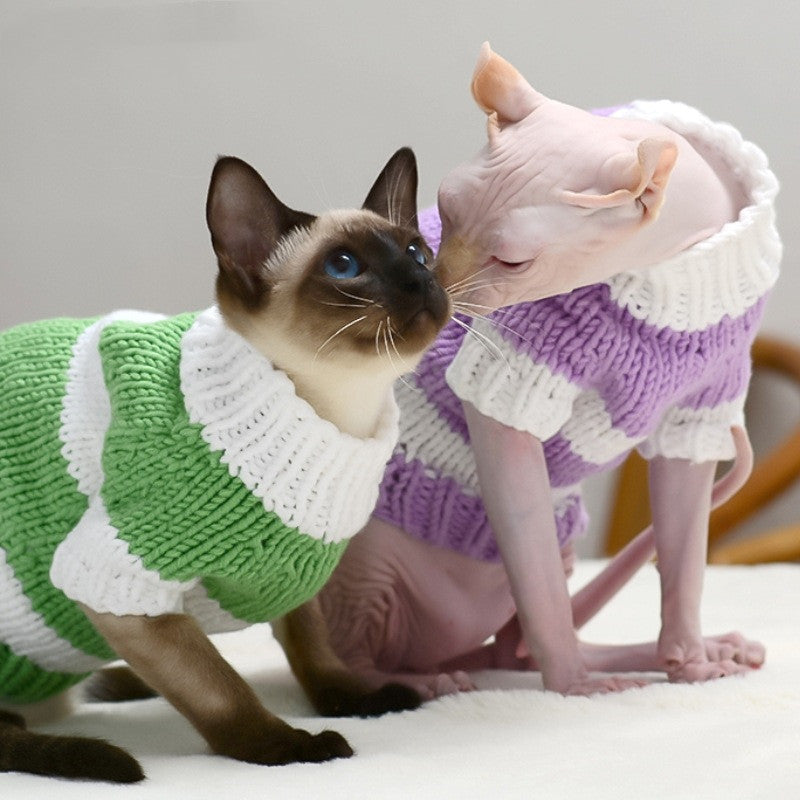 Kitty's warm sweater