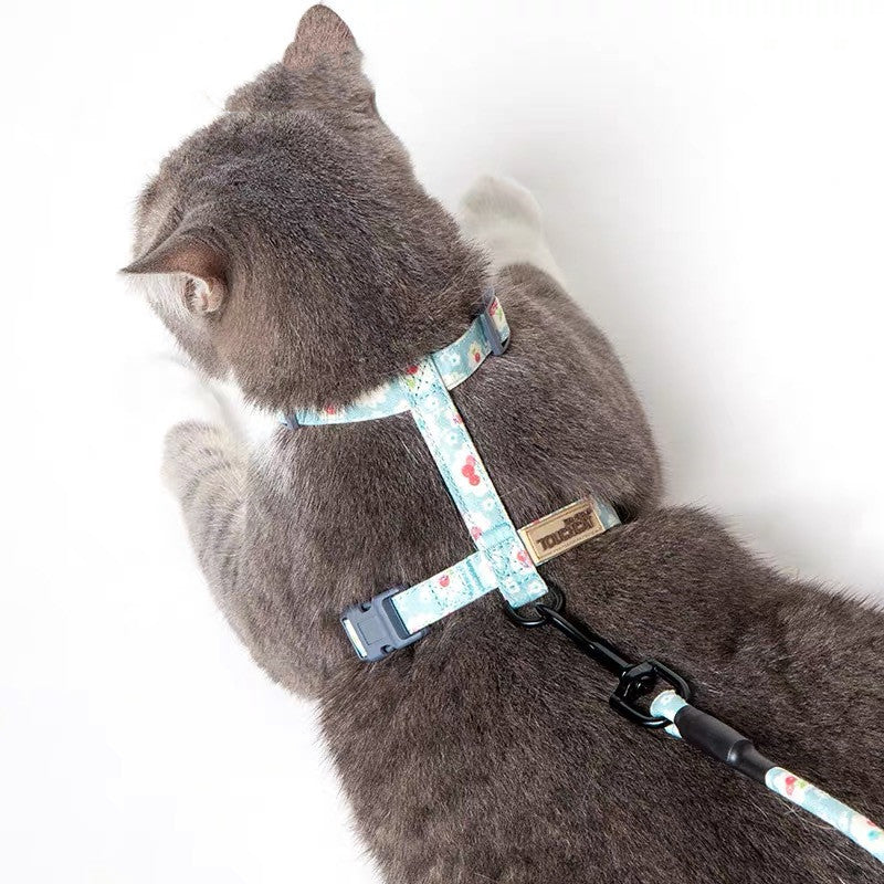 Kitty's harnest and leash set