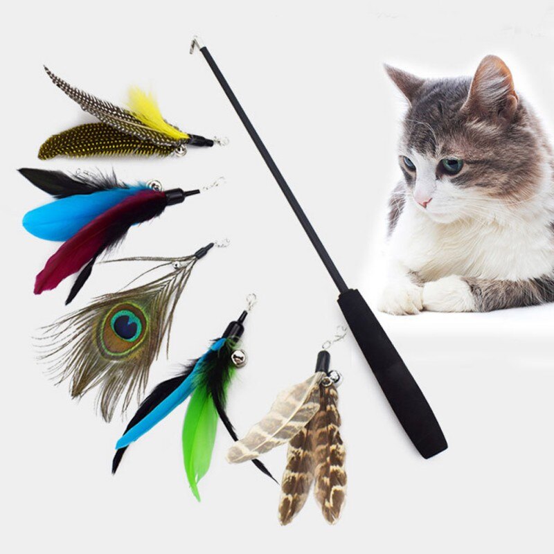 Three stage fun kitty's wand