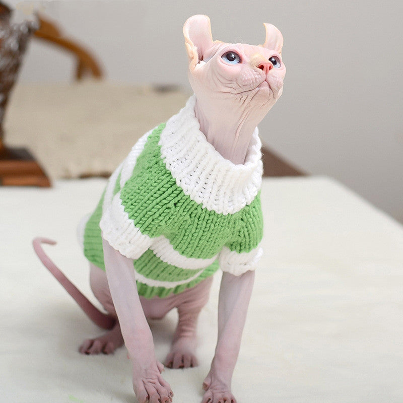 Kitty's warm sweater