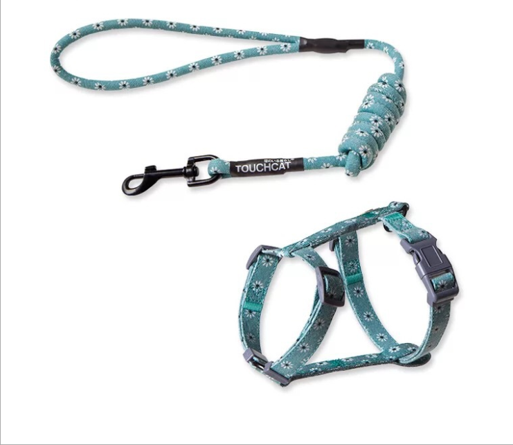 Kitty's harnest and leash set