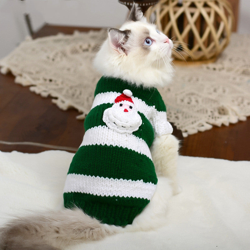 Kitty's warm sweater