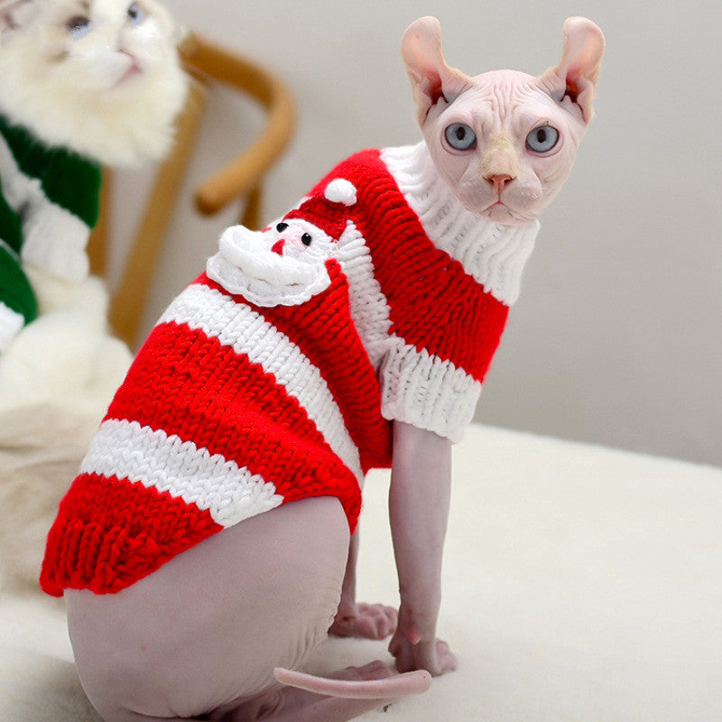 Kitty's warm sweater